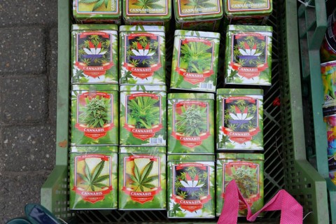 Cannabis