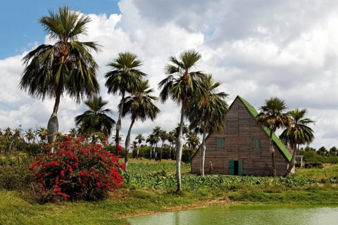 Traditional house