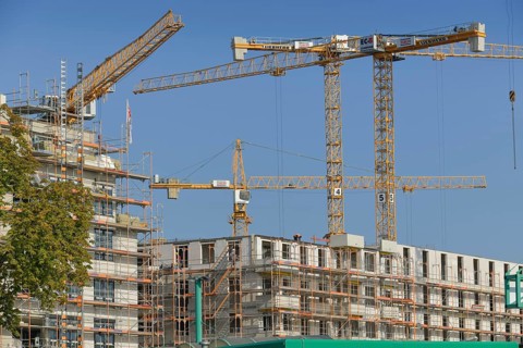 Cranes