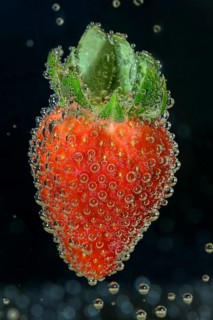 Strawberry (Fragaria x ananassa) (Fragaria x magna) pineapple-strawberry