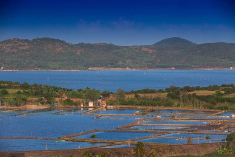 Tuy Hoa