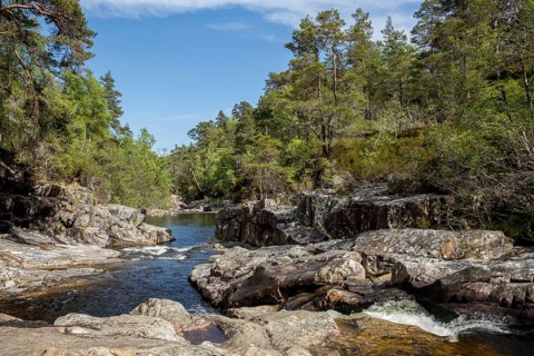Glen Affric