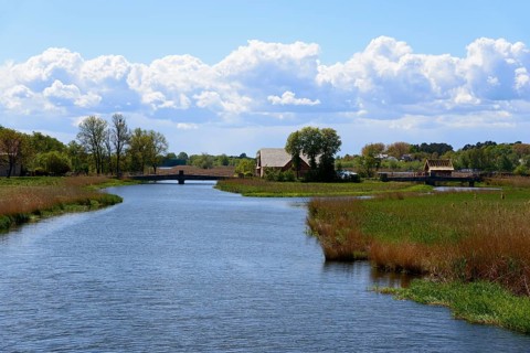 Dziwna River