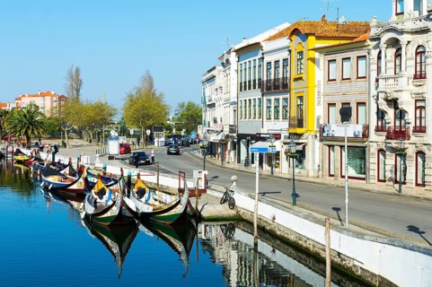Moliceiros moored along the main canal