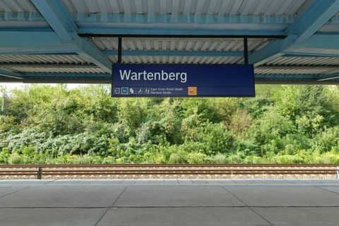 Platform