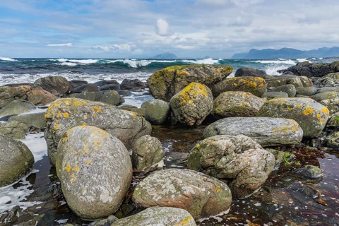 Round Island