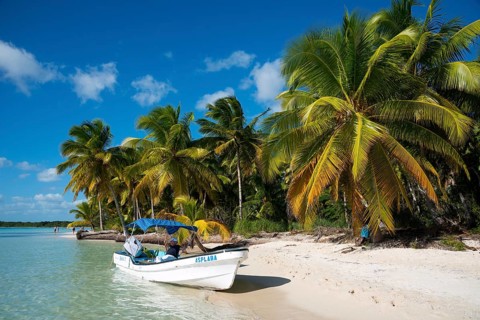 Palm Beach
