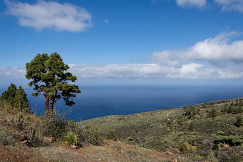 Coast near Las Tricias