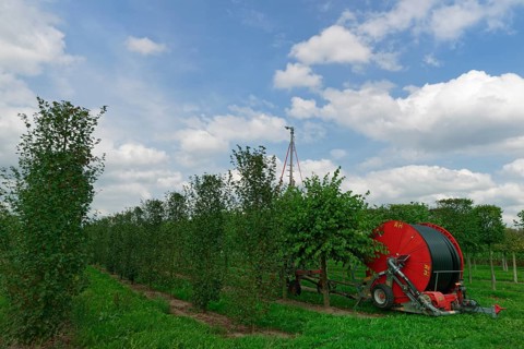 Hose cart in tree nursery