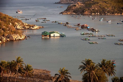 Fishing boats in Vinh Hy Bay