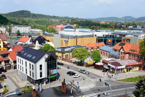 View from the lookout tower