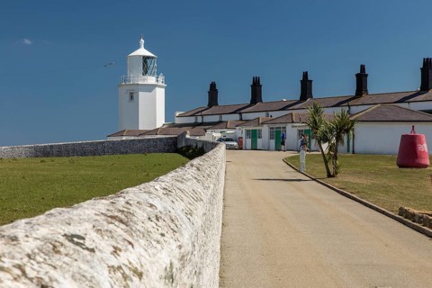 Lizard Point