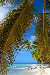 Palm Beach
