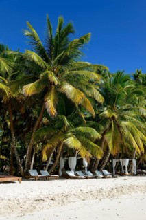Palm Beach