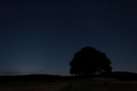 Shooting star