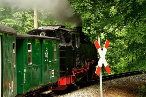 Narrow-gauge railway Rasender Roland