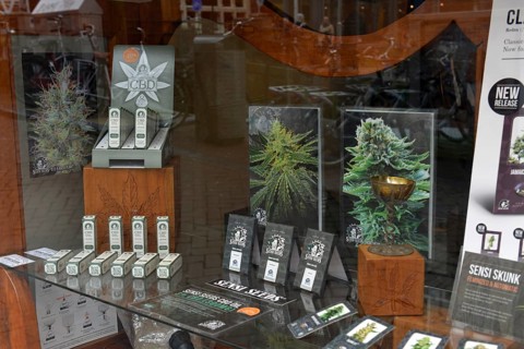 Sensi Seeds
