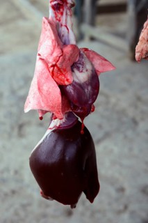 Offal for sale