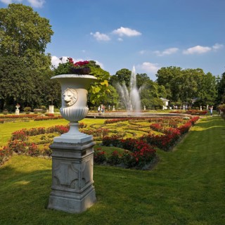 Flora