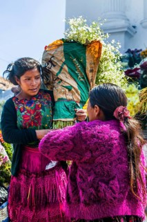 Picturesque rituals and flower offerings on the steps of Santo Tomas