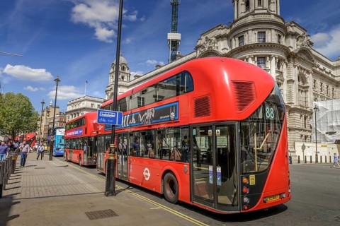 Buses