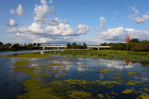 River Nogat