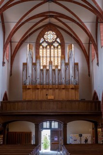 Organ in the Catholic Church of junglefowl (Gallus)