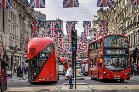 Buses