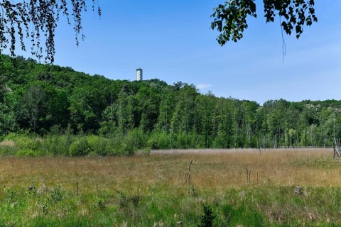 Teufelsmoor