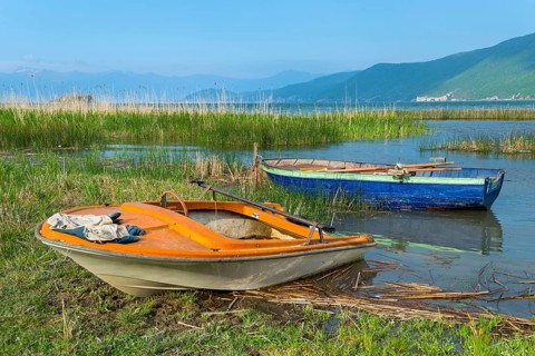 Fishing boats on the lakeshore
