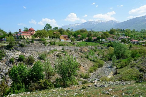Borova