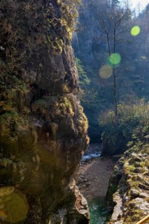 Autumn in Guam gorge
