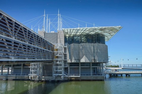 Oceanario de Lisboa