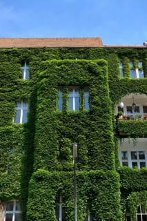Facade greening