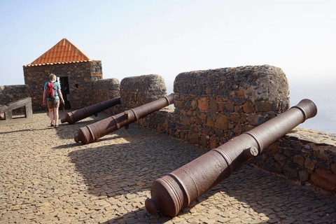 Cannons