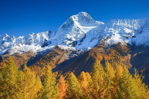 Freshly snow-covered Bietschhorn