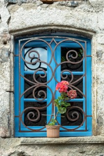Flower at the edge of a window
