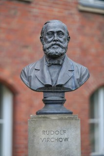 Bust