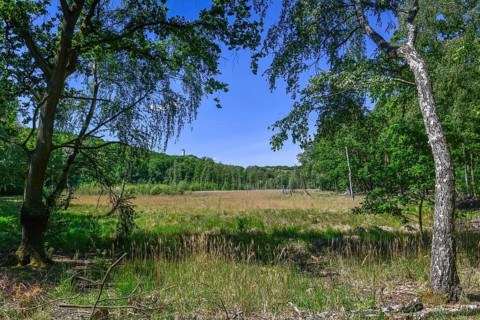 Teufelsmoor