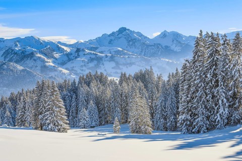 View from the Jaun Pass to the Bernese Alps