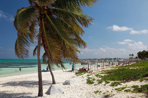 Sandy beach beach
