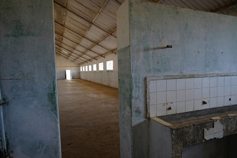 Communal cell