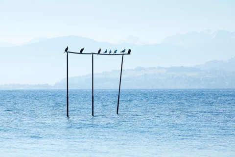 View from Arbon over Lake Constance