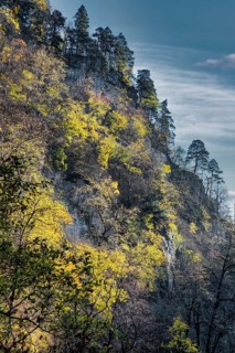 Autumn in Guam gorge