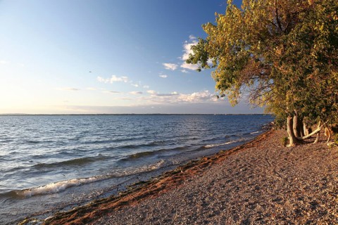 Beach on the Saint Lawrence River
