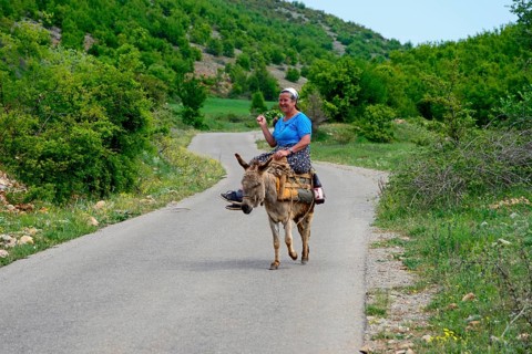 Woman on a donkey