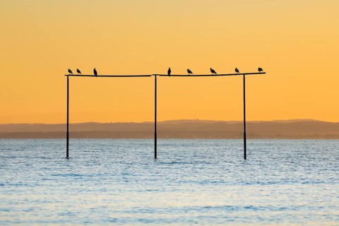 View from Arbon over Lake Constance at sunrise