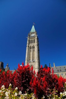 The Peace Tower