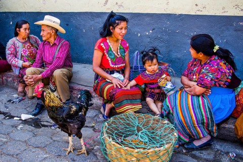 Poultry market