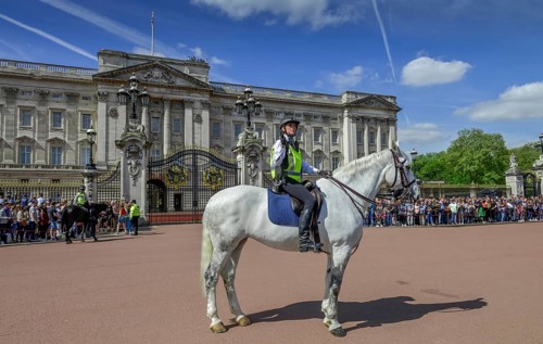 Mounted Policewoman